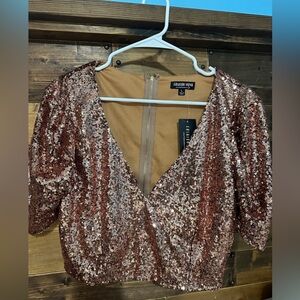 Sparkling Sequin V-Neck Top